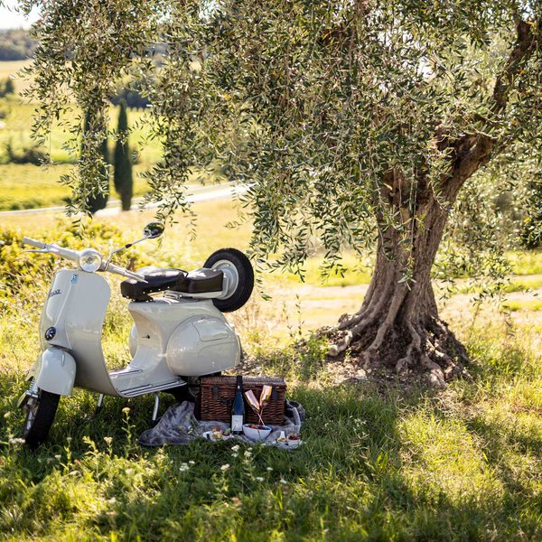 Vues de l’hôtel à Lazise au lac de Garde