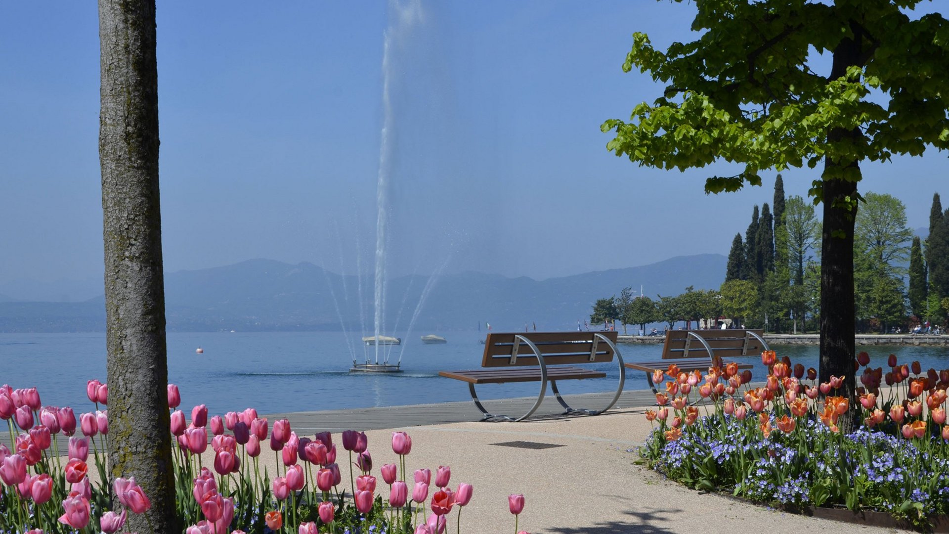 Randonnées et jogging au Lac de Garde : magnifique