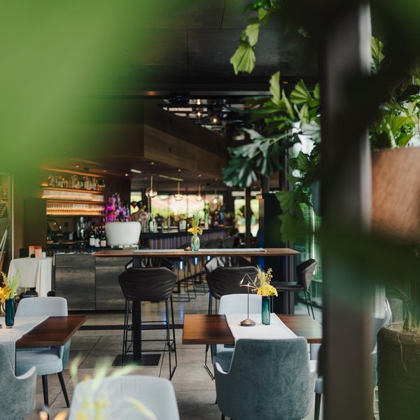 Einblicke ins Hotel in Lazise am Gardasee