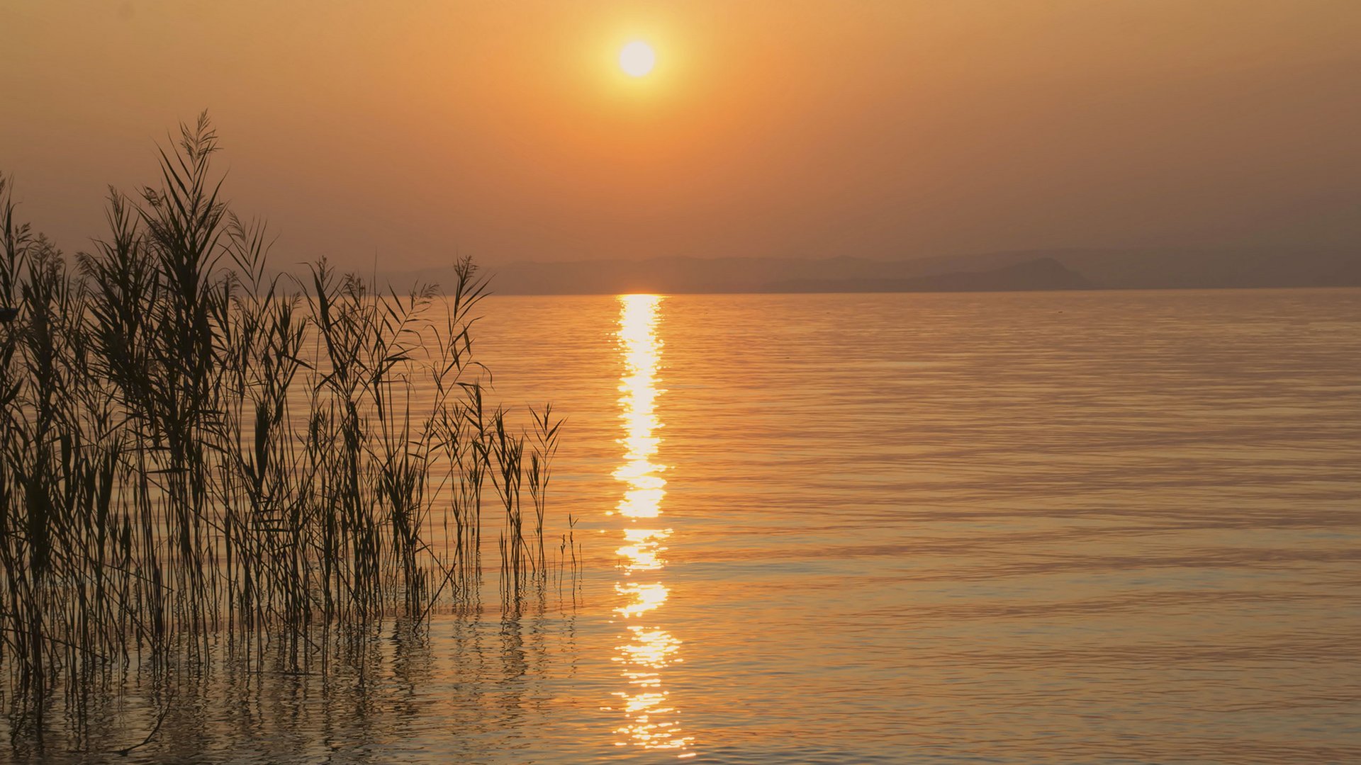 Lago di Garda: vacanze indimenticabili